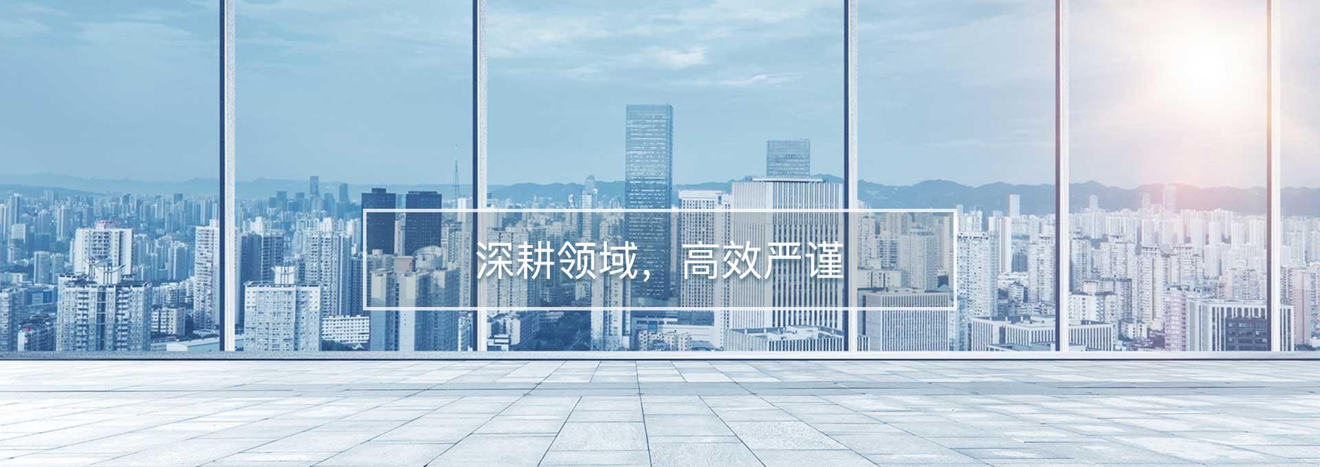 深耕领域，高效严谨
